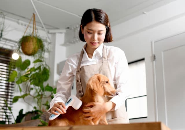 集客につながる！トリミングサロンの内装ポイントとおしゃれ事例